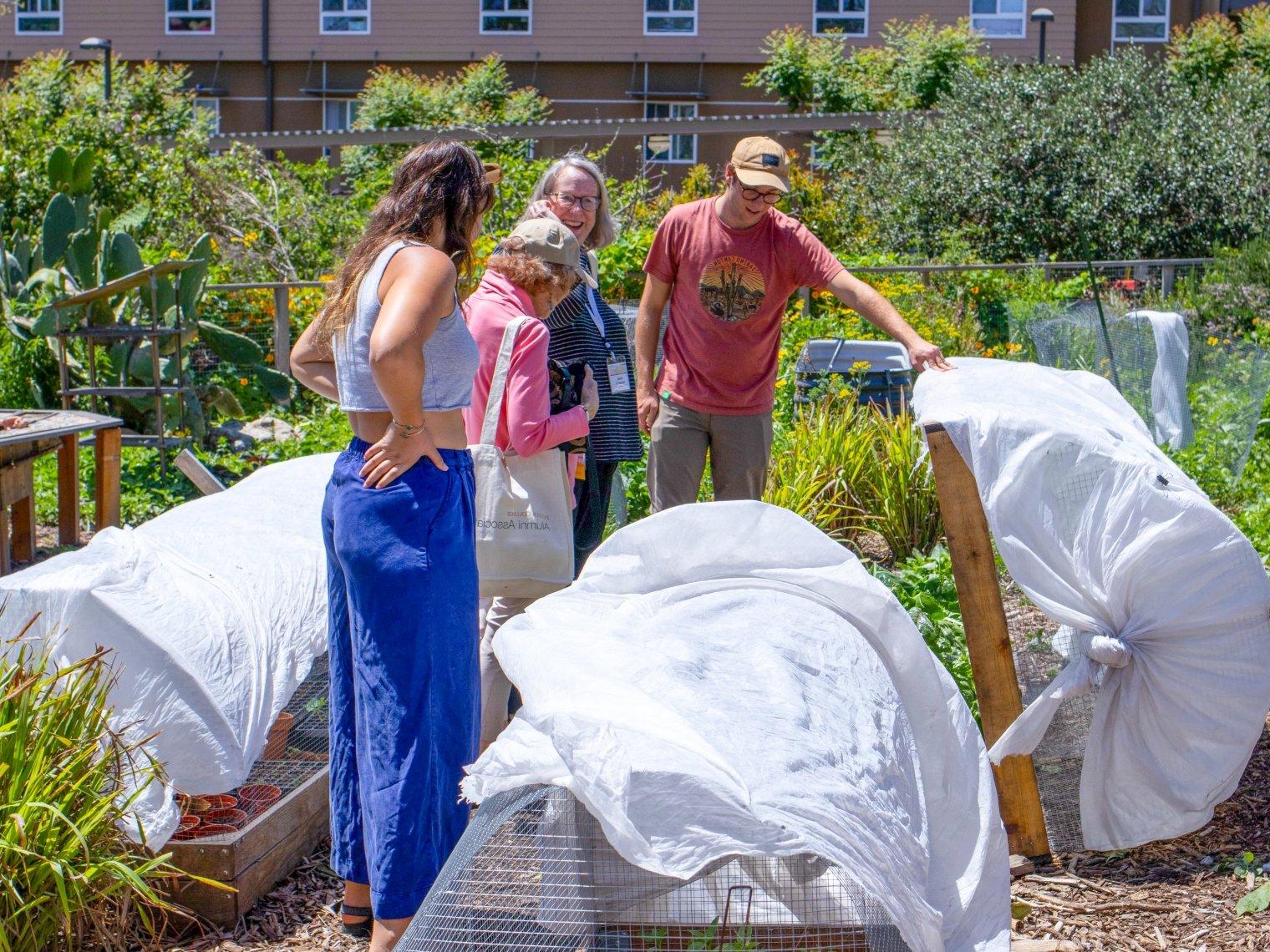 Student Garden